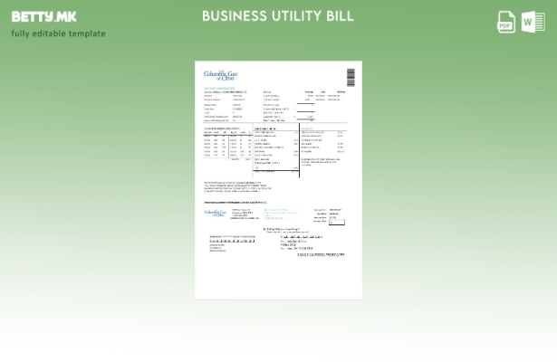 Страница за деловна сметка за комунални услуги на САД Колумбија Гас од Охајо